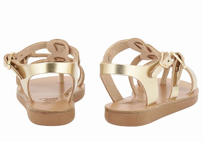 Ancient Greek Sandals Little Grace Kelly Soft Dječje Ravne Sandale Zlatne Bijele | YYT496QS