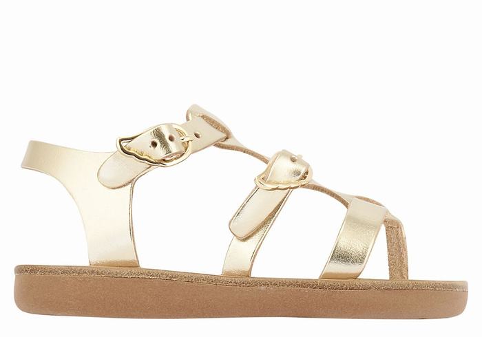 Ancient Greek Sandals Little Grace Kelly Soft Dječje Ravne Sandale Zlatne Bijele | YYT496QS