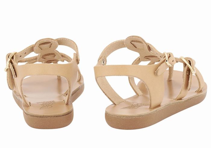 Ancient Greek Sandals Little Grace Kelly Soft Dječje Ravne Sandale Bež | ZDP5869DK