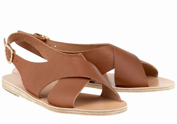 Ancient Greek Sandals Maria Leather Ženske Casual Sandals Tamno Smeđe | LMJ7233IK