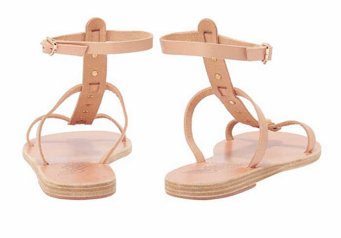 Ancient Greek Sandals Meliti Bee Ženske Sandale S Remenom Bež | UEG5143MJ