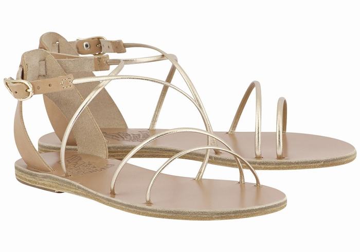 Ancient Greek Sandals Meloivia Ženske Sandale S Remenom Bež Zlatne Bijele | LAE3748DJ