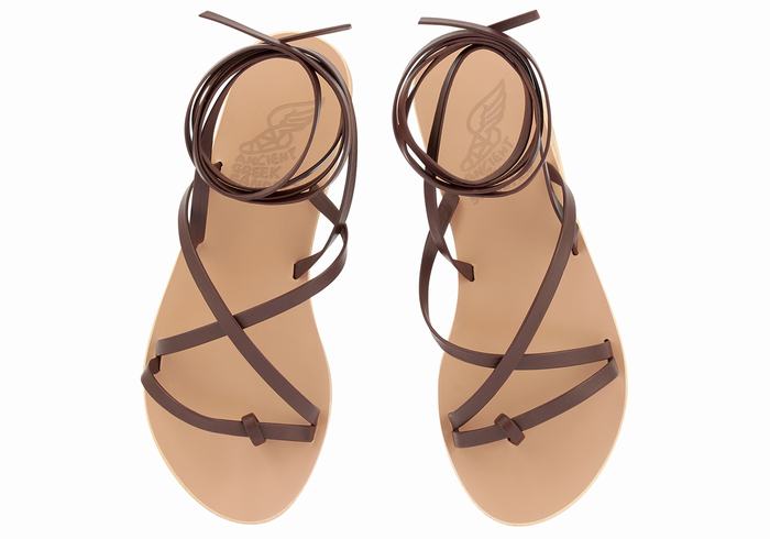 Ancient Greek Sandals Morfi Leather Ženske Gladijatorske Sandale Kafe | TJL1269YP