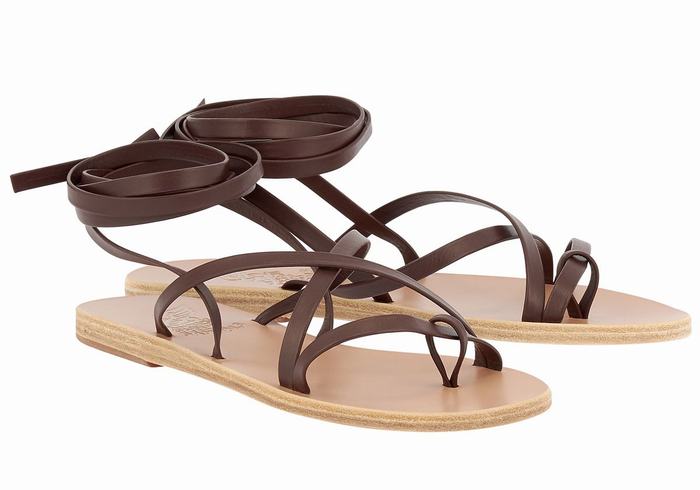 Ancient Greek Sandals Morfi Leather Ženske Gladijatorske Sandale Kafe | TJL1269YP