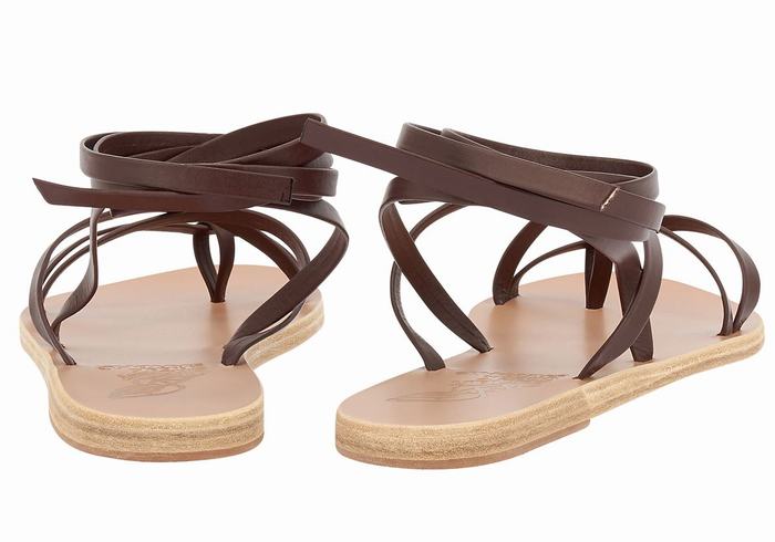 Ancient Greek Sandals Morfi Leather Ženske Gladijatorske Sandale Kafe | TJL1269YP