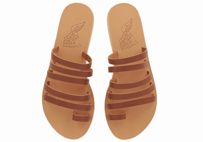 Ancient Greek Sandals Niki Leather Ženske Toe-Post Sandals Tamno Smeđe | CVJ4114SE