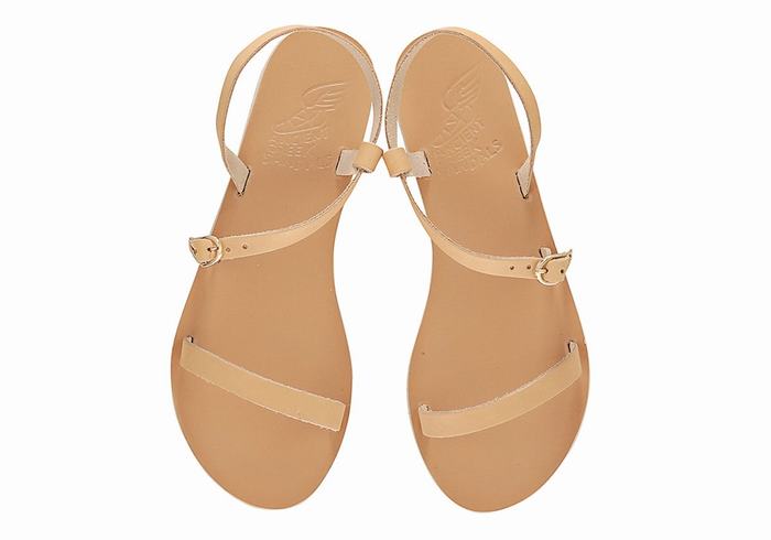 Ancient Greek Sandals Niove Leather Ženske Back-Strap Sandals Bež | VKO8759NJ