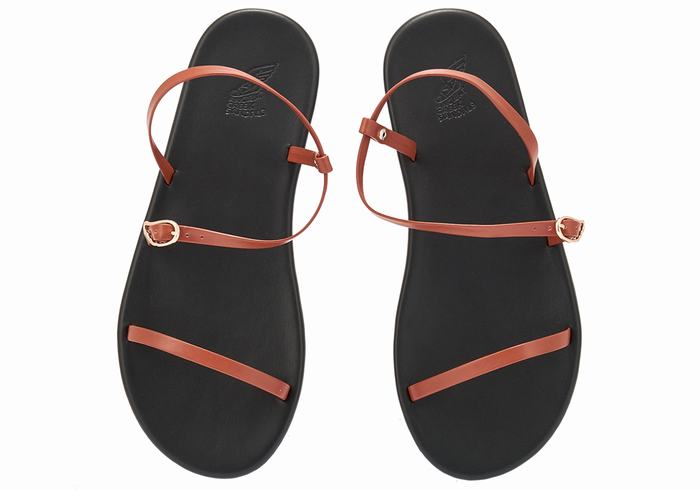 Ancient Greek Sandals Niove Ženske Back-Strap Sandals Tamno Smeđe | TOB9815ND