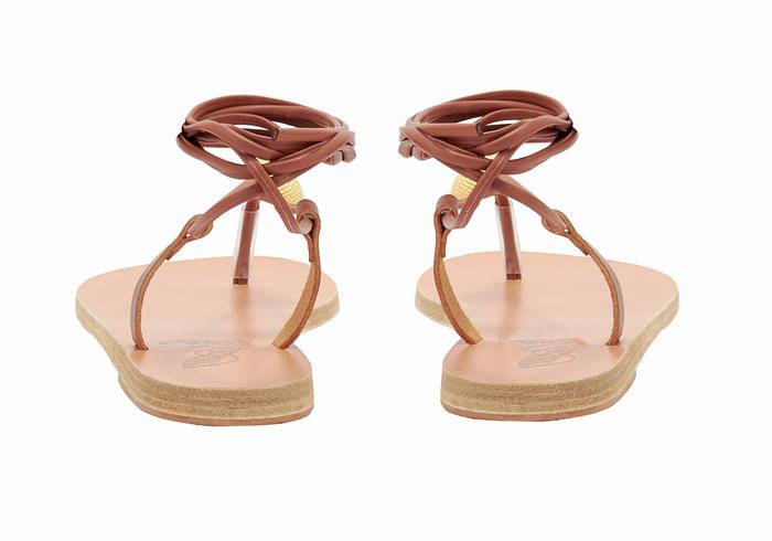 Ancient Greek Sandals Persephone Ženske Gladijatorske Sandale Crvene | JEB361PK