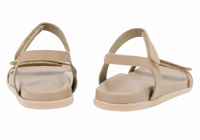 Ancient Greek Sandals Poros Ženske Back-Strap Sandals Sive Smeđe | AWP6682HI