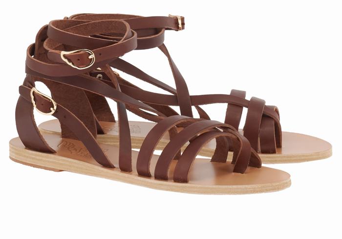 Ancient Greek Sandals Satira Leather Ženske Gladijatorske Sandale Kafe | ZNK9042HO