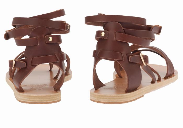 Ancient Greek Sandals Satira Leather Ženske Gladijatorske Sandale Kafe | ZNK9042HO