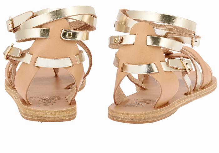 Ancient Greek Sandals Satira Leather Ženske Gladijatorske Sandale Bež Zlatne Bijele | VPH1976WI