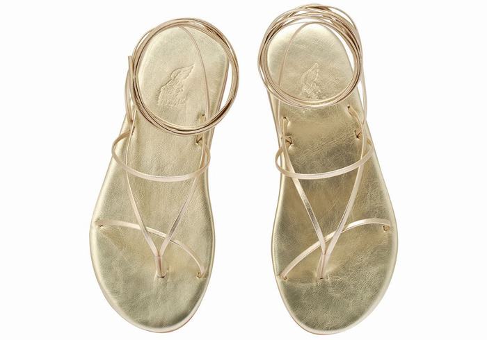 Ancient Greek Sandals String Ženske Gladijatorske Sandale Zlatne Bijele | UBZ4886XU