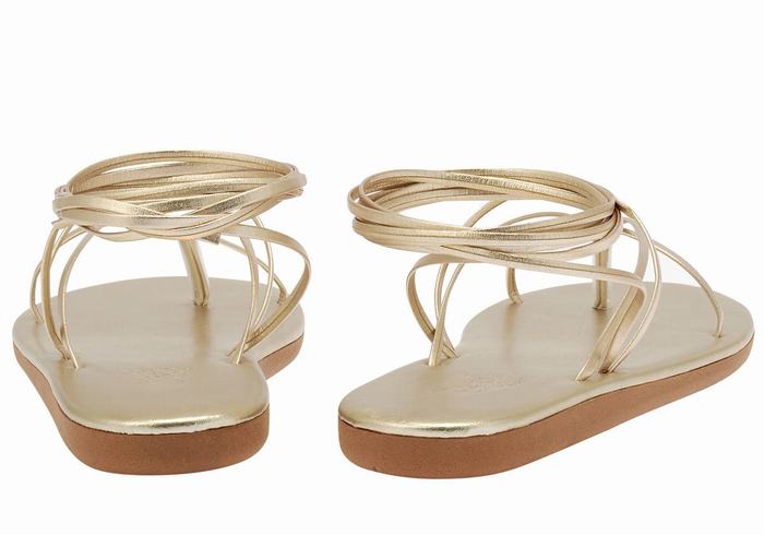 Ancient Greek Sandals String Ženske Gladijatorske Sandale Zlatne Bijele | UBZ4886XU