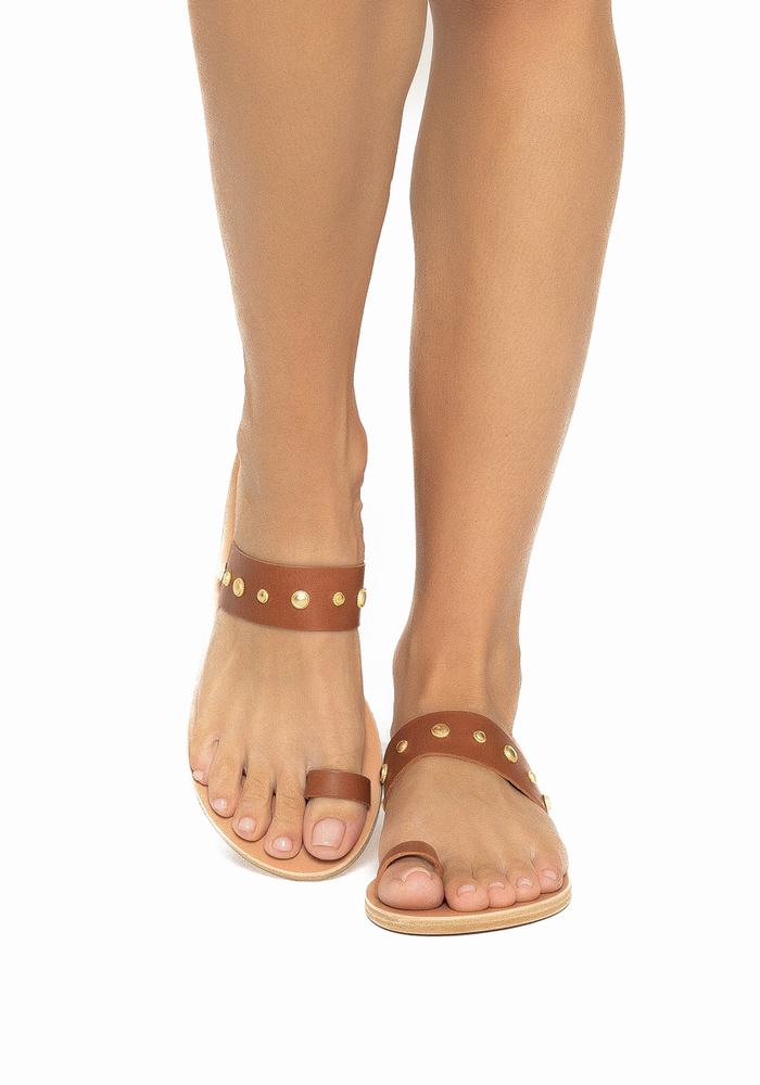 Ancient Greek Sandals Thalia Bee Ženske Toe-Post Sandals Tamno Smeđe | JZH4732MU