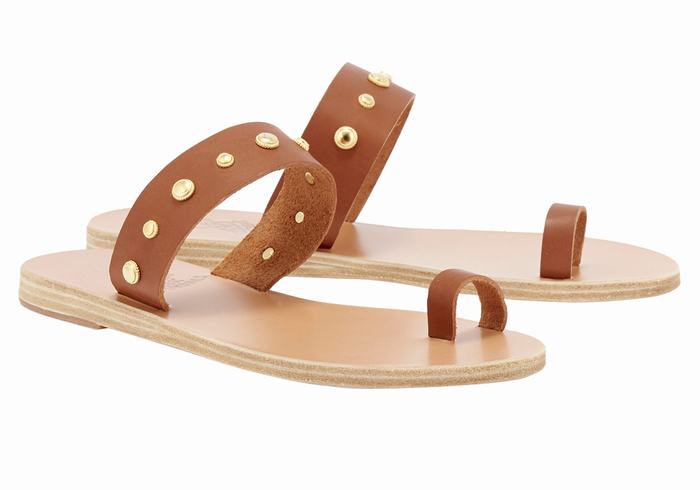 Ancient Greek Sandals Thalia Bee Ženske Toe-Post Sandals Tamno Smeđe | JZH4732MU