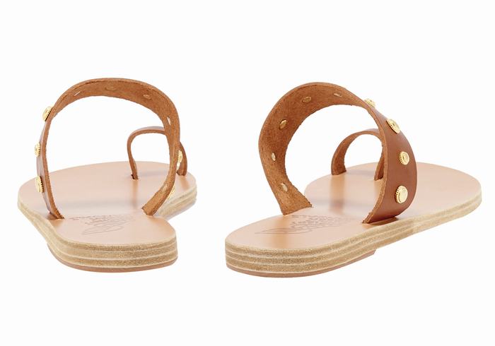 Ancient Greek Sandals Thalia Bee Ženske Toe-Post Sandals Tamno Smeđe | JZH4732MU