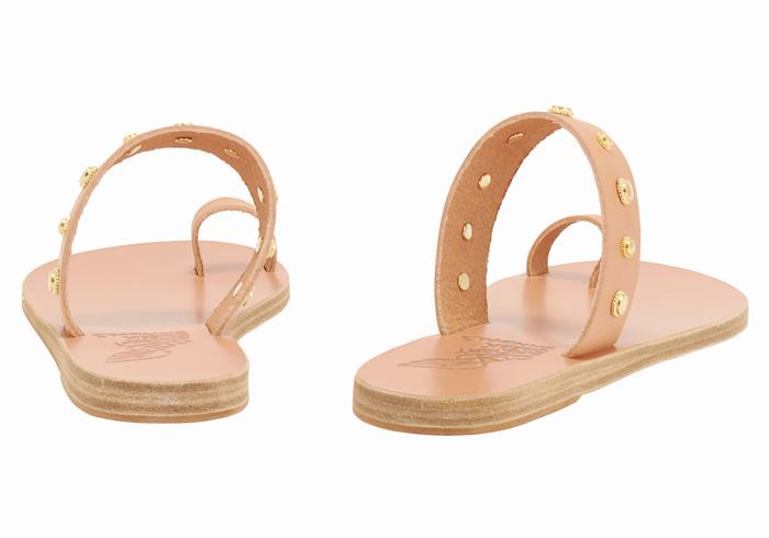 Ancient Greek Sandals Thalia Bee Ženske Toe-Post Sandals Bež | BWW6924QS