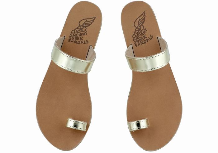 Ancient Greek Sandals Thalia Leather Ženske Toe-Post Sandals Zlatne Bijele | UAR6496XC