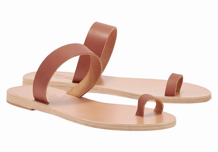 Ancient Greek Sandals Thalia Leather Ženske Toe-Post Sandals Tamno Smeđe | ABW5615TO