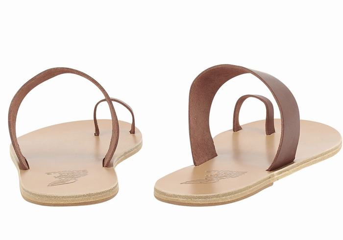 Ancient Greek Sandals Thalos Muške Toe-Post Sandals Kafe | ZMV2979FI