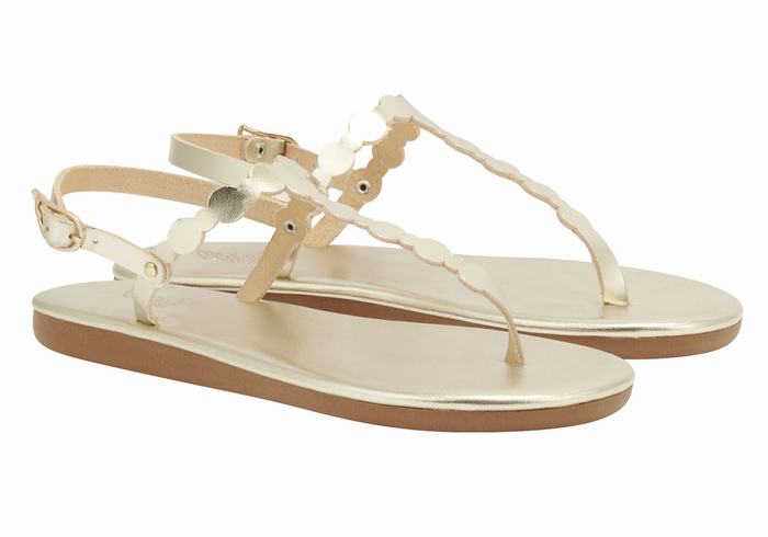 Ancient Greek Sandals Velos Flip Flop Ženske Back-Strap Sandals Zlatne Bijele | RDF2076AB