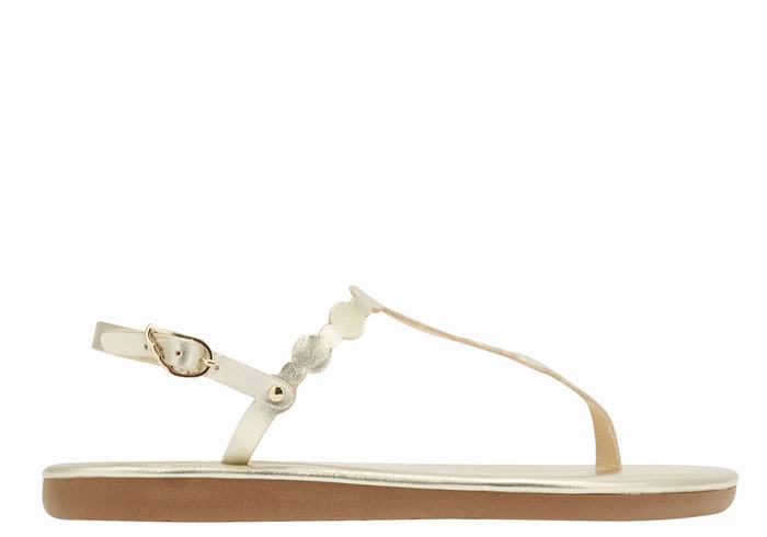 Ancient Greek Sandals Velos Flip Flop Ženske Back-Strap Sandals Zlatne Bijele | RDF2076AB