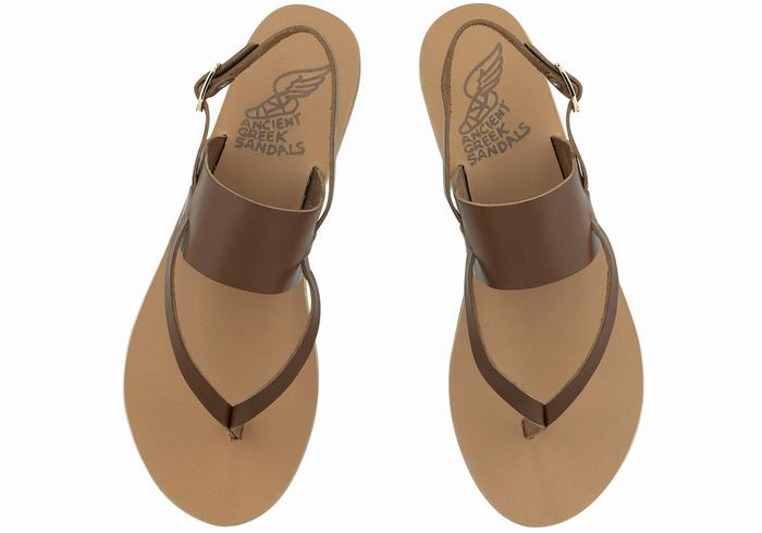 Ancient Greek Sandals Zoe Flip Flop Leather Ženske Back-Strap Sandals Tamno Smeđe | CTT1212PJ