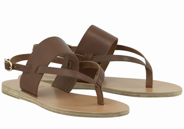 Ancient Greek Sandals Zoe Flip Flop Leather Ženske Back-Strap Sandals Tamno Smeđe | CTT1212PJ