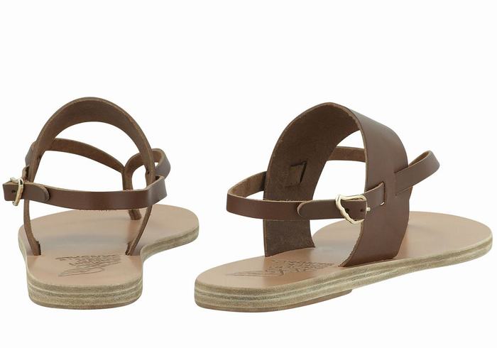 Ancient Greek Sandals Zoe Flip Flop Leather Ženske Back-Strap Sandals Tamno Smeđe | CTT1212PJ