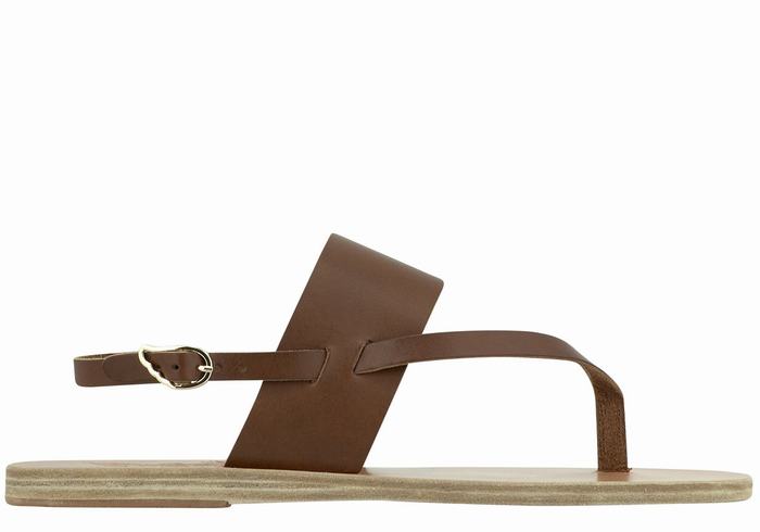 Ancient Greek Sandals Zoe Flip Flop Leather Ženske Back-Strap Sandals Tamno Smeđe | CTT1212PJ