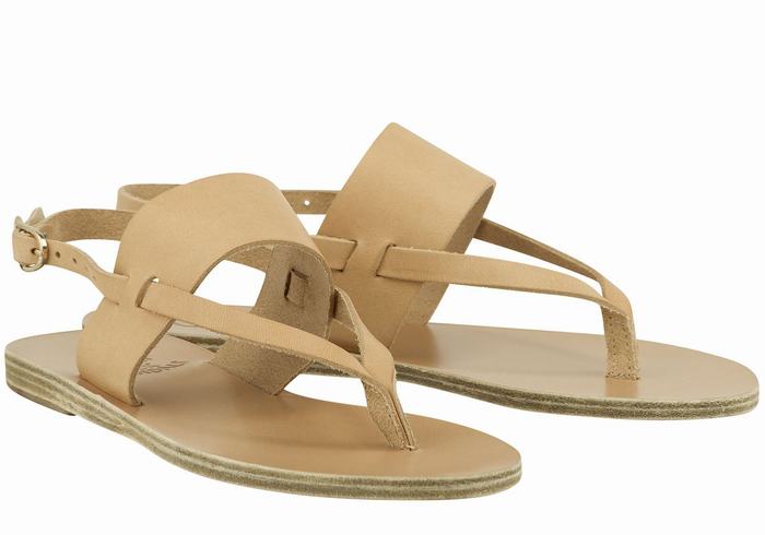 Ancient Greek Sandals Zoe Flip Flop Leather Ženske Back-Strap Sandals Bež | EGG654KS