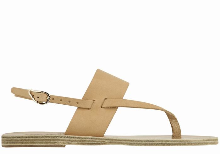 Ancient Greek Sandals Zoe Flip Flop Leather Ženske Back-Strap Sandals Bež | EGG654KS